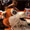 1991-01_CalPoly_RoseFloat.jpg