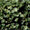 1993-01_CalPoly_RoseFloat.jpg